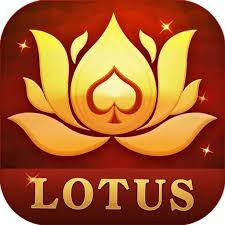 teen patti live 3 online poker download